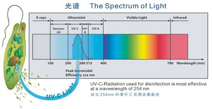 科普！紫外線殺菌燈對(duì)人體影響及正確使用方法